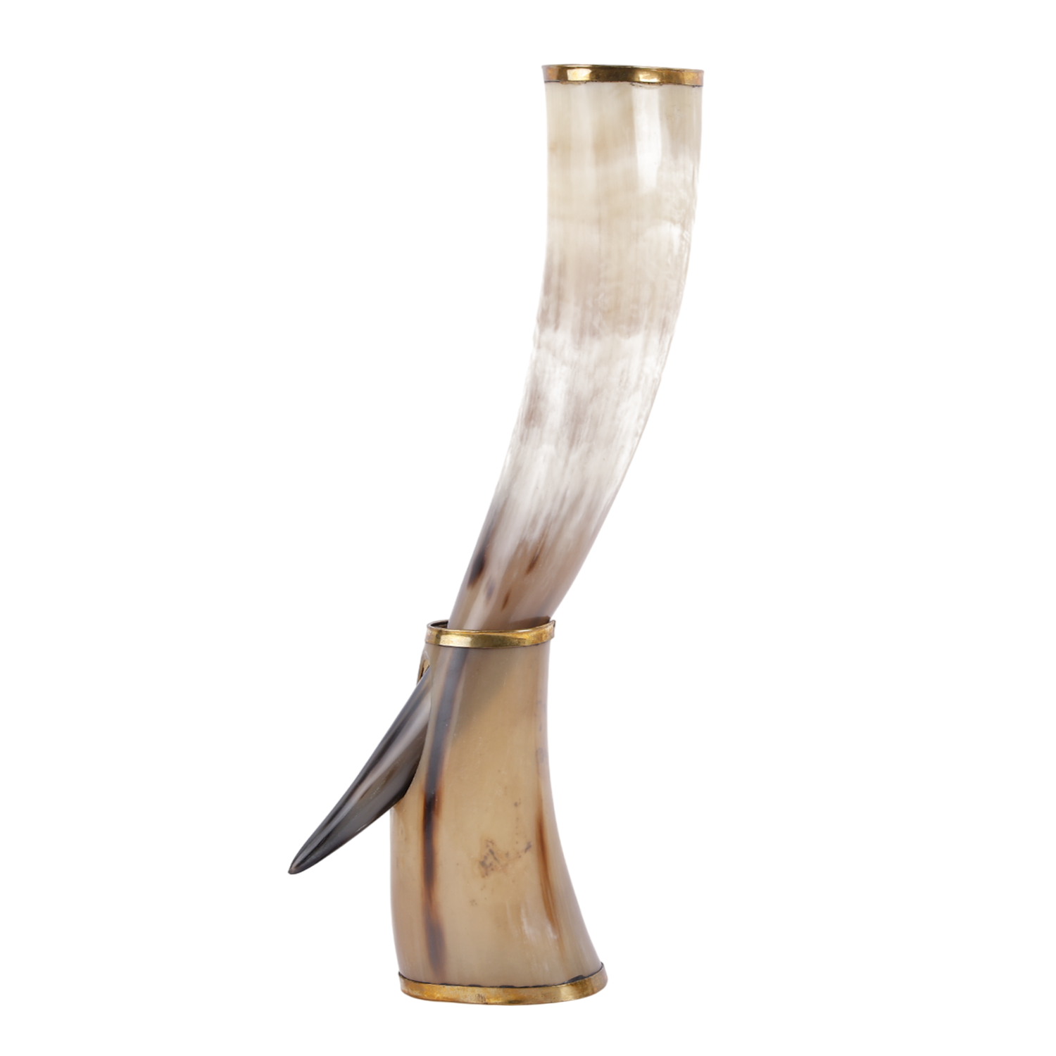 Drinking Horn with Stand - Holds Upto 16 oz, Metallic Finish