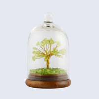 Wish Tree