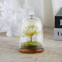 Wish Tree – Spirit of Grace
